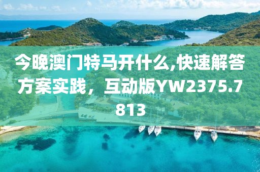 今晚澳门特马开什么,快速解答方案实践，互动版YW2375.7813