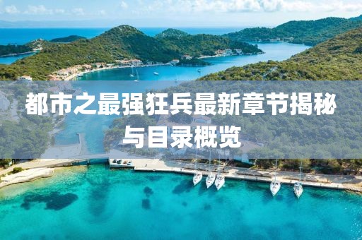 都市之最强狂兵最新章节揭秘与目录概览