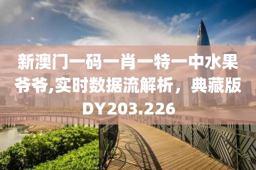 新澳门一码一肖一特一中水果爷爷,实时数据流解析，典藏版DY203.226