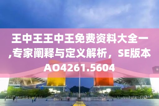 王中王王中王免费资料大全一,专家阐释与定义解析，SE版本AO4261.5604