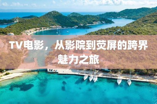 TV电影，从影院到荧屏的跨界魅力之旅