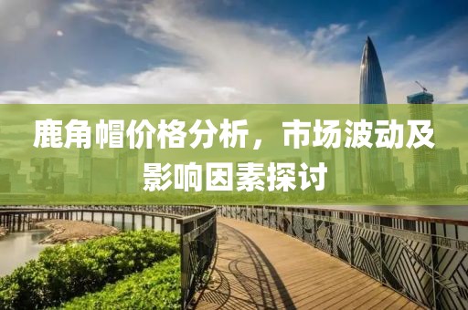 鹿角帽价格分析，市场波动及影响因素探讨