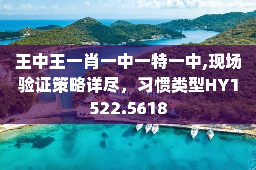 王中王一肖一中一特一中,现场验证策略详尽，习惯类型HY1522.5618