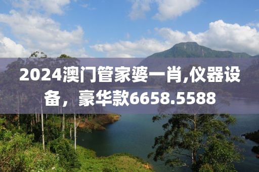 2024澳门管家婆一肖,仪器设备，豪华款6658.5588