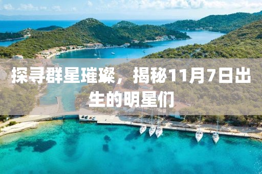 探寻群星璀璨，揭秘11月7日出生的明星们