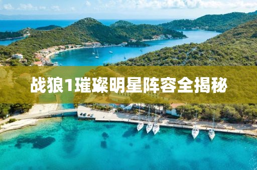 战狼1璀璨明星阵容全揭秘