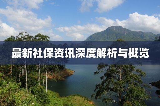 最新社保资讯深度解析与概览