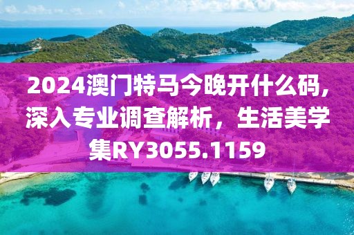 2024澳门特马今晚开什么码,深入专业调查解析，生活美学集RY3055.1159
