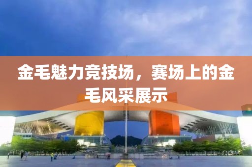 金毛魅力竞技场，赛场上的金毛风采展示