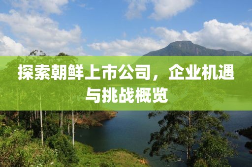 探索朝鲜上市公司，企业机遇与挑战概览