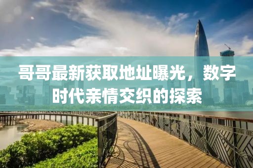 哥哥最新获取地址曝光，数字时代亲情交织的探索