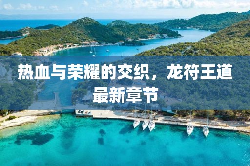 热血与荣耀的交织，龙符王道最新章节