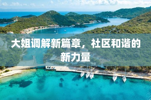 大姐调解新篇章，社区和谐的新力量