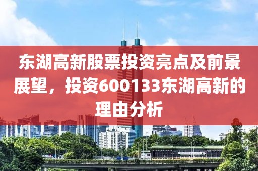 东湖高新股票投资亮点及前景展望，投资600133东湖高新的理由分析