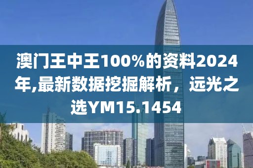 澳门王中王100%的资料2024年,最新数据挖掘解析，远光之选YM15.1454