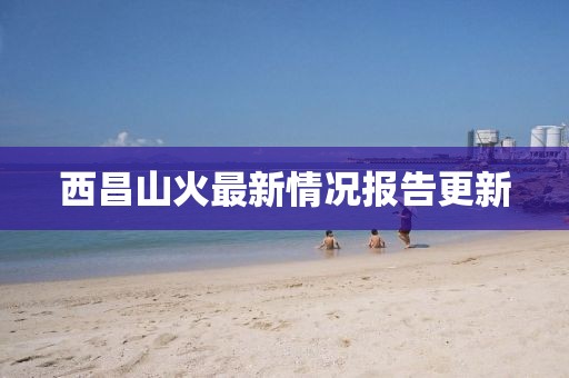 西昌山火最新情况报告更新