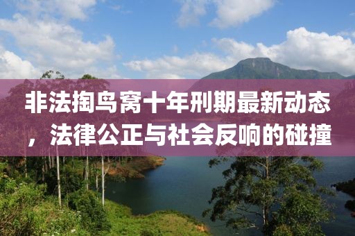 非法掏鸟窝十年刑期最新动态，法律公正与社会反响的碰撞