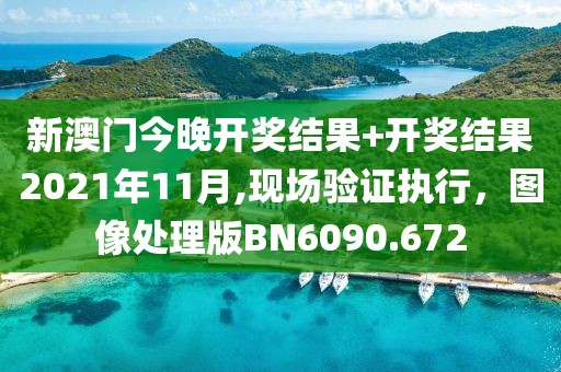 新澳门今晚开奖结果+开奖结果2021年11月,现场验证执行，图像处理版BN6090.672
