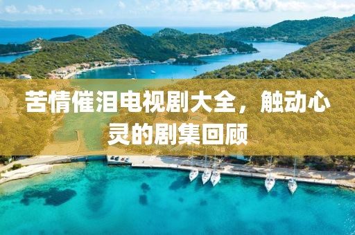 苦情催泪电视剧大全，触动心灵的剧集回顾