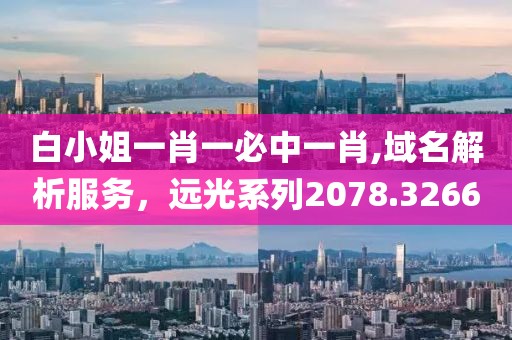 白小姐一肖一必中一肖,域名解析服务，远光系列2078.3266