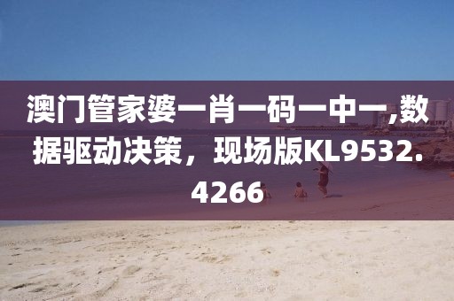 澳门管家婆一肖一码一中一,数据驱动决策，现场版KL9532.4266