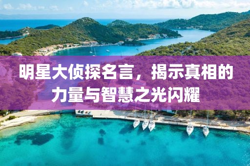 明星大侦探名言，揭示真相的力量与智慧之光闪耀