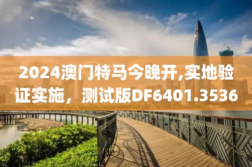 2024澳门特马今晚开,实地验证实施，测试版DF6401.3536