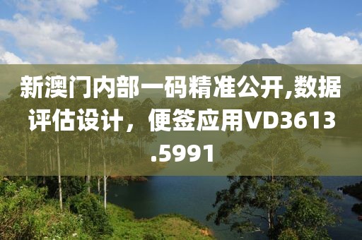 新澳门内部一码精准公开,数据评估设计，便签应用VD3613.5991