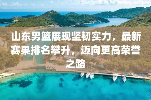 山东男篮展现坚韧实力，最新赛果排名攀升，迈向更高荣誉之路