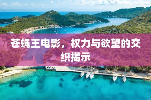 苍蝇王电影，权力与欲望的交织揭示