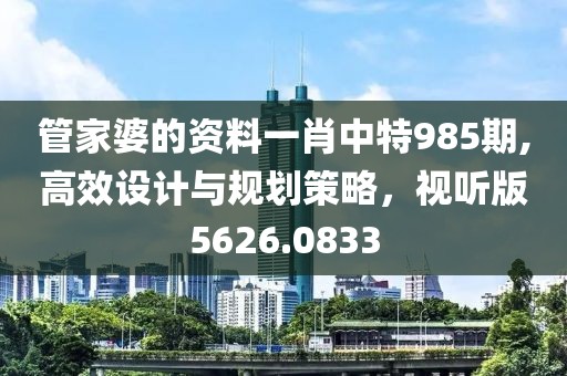 管家婆的资料一肖中特985期,高效设计与规划策略，视听版5626.0833