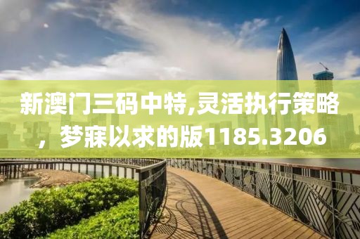 新澳门三码中特,灵活执行策略，梦寐以求的版1185.3206