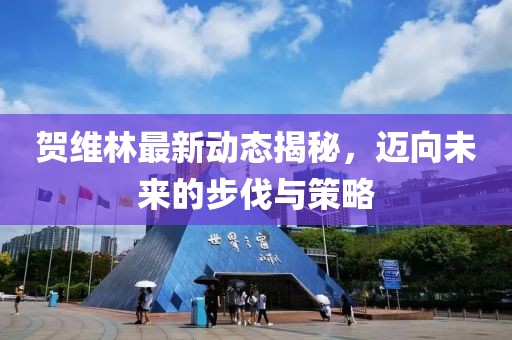 贺维林最新动态揭秘，迈向未来的步伐与策略