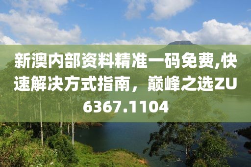 新澳内部资料精准一码免费,快速解决方式指南，巅峰之选ZU6367.1104