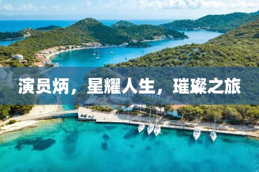 演员炳，星耀人生，璀璨之旅