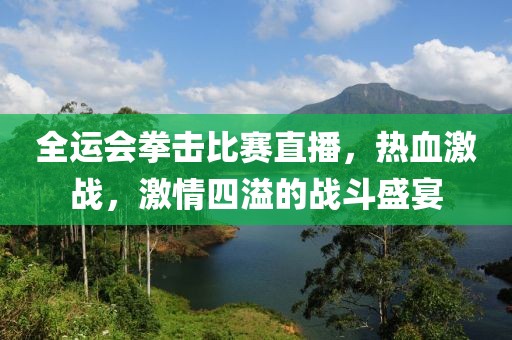 全运会拳击比赛直播，热血激战，激情四溢的战斗盛宴