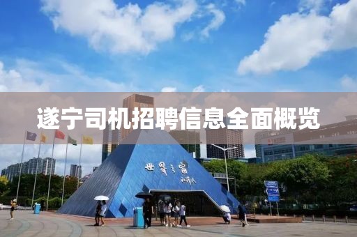 遂宁司机招聘信息全面概览