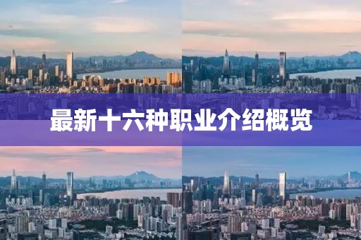 最新十六种职业介绍概览