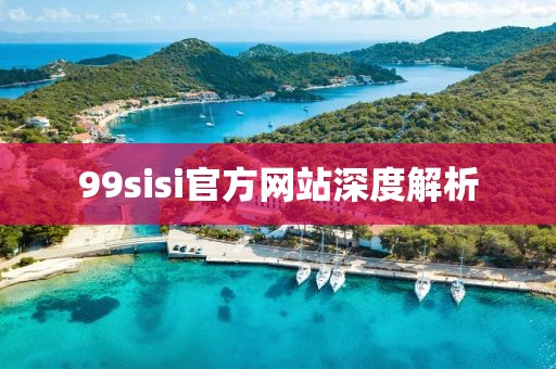 99sisi官方网站深度解析