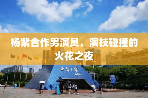 杨紫合作男演员，演技碰撞的火花之夜