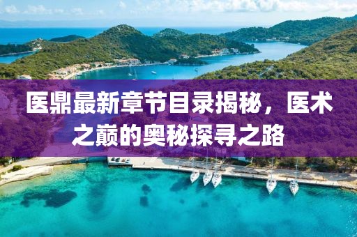 医鼎最新章节目录揭秘，医术之巅的奥秘探寻之路