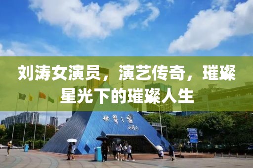 刘涛女演员，演艺传奇，璀璨星光下的璀璨人生