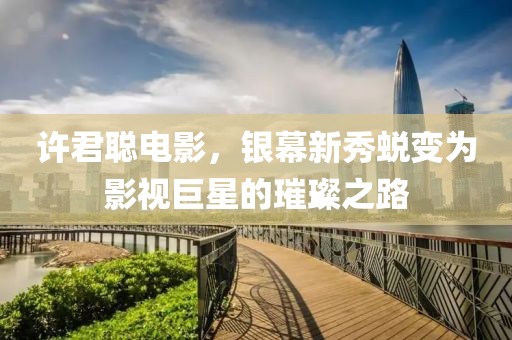 许君聪电影，银幕新秀蜕变为影视巨星的璀璨之路