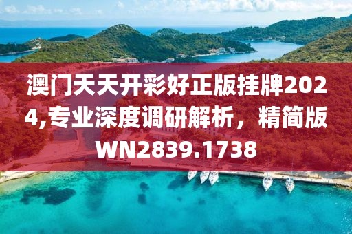 澳门天天开彩好正版挂牌2024,专业深度调研解析，精简版WN2839.1738