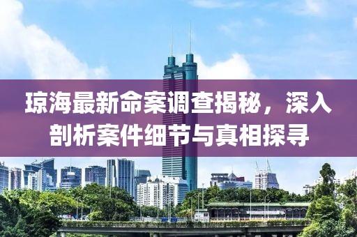 琼海最新命案调查揭秘，深入剖析案件细节与真相探寻