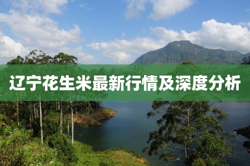 辽宁花生米最新行情及深度分析