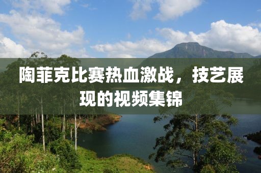 陶菲克比赛热血激战，技艺展现的视频集锦