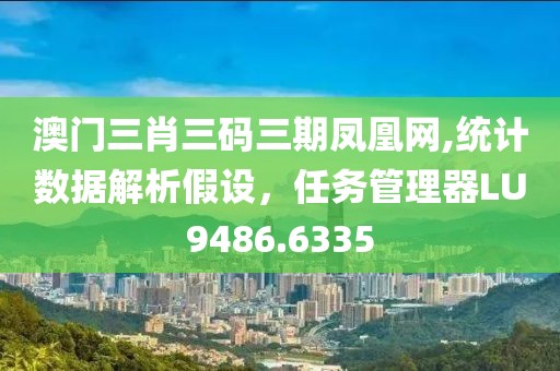 澳门三肖三码三期凤凰网,统计数据解析假设，任务管理器LU9486.6335