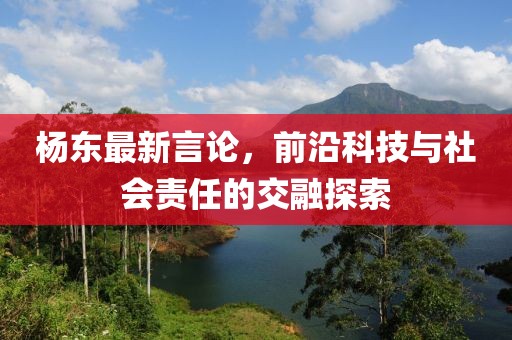 杨东最新言论，前沿科技与社会责任的交融探索