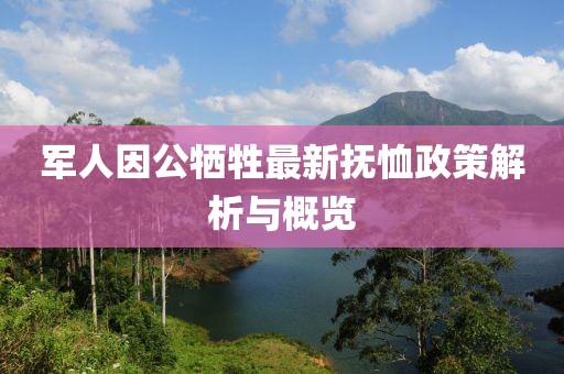 军人因公牺牲最新抚恤政策解析与概览